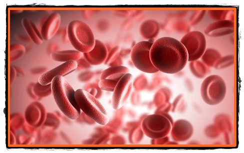 Cauzele frecvente ale anemiilor si prevenire